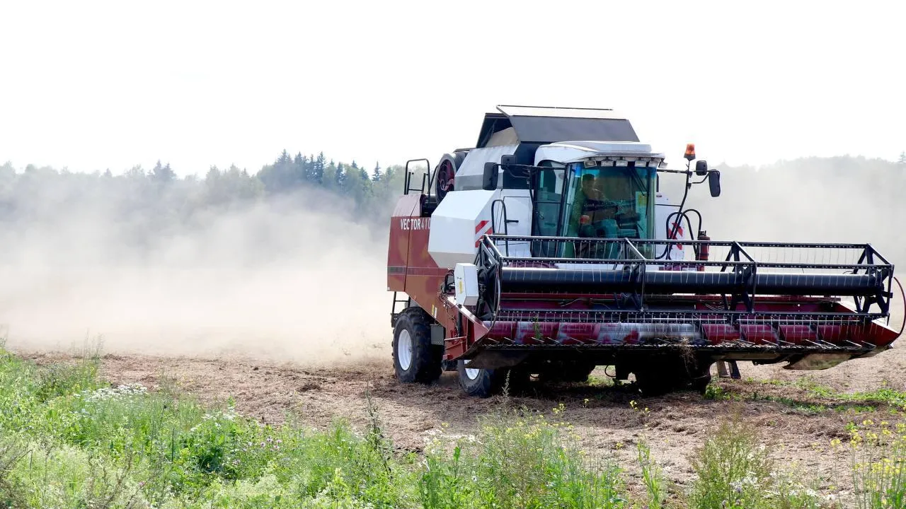 Фото: пресс-служба администрации г.о. Шаховская