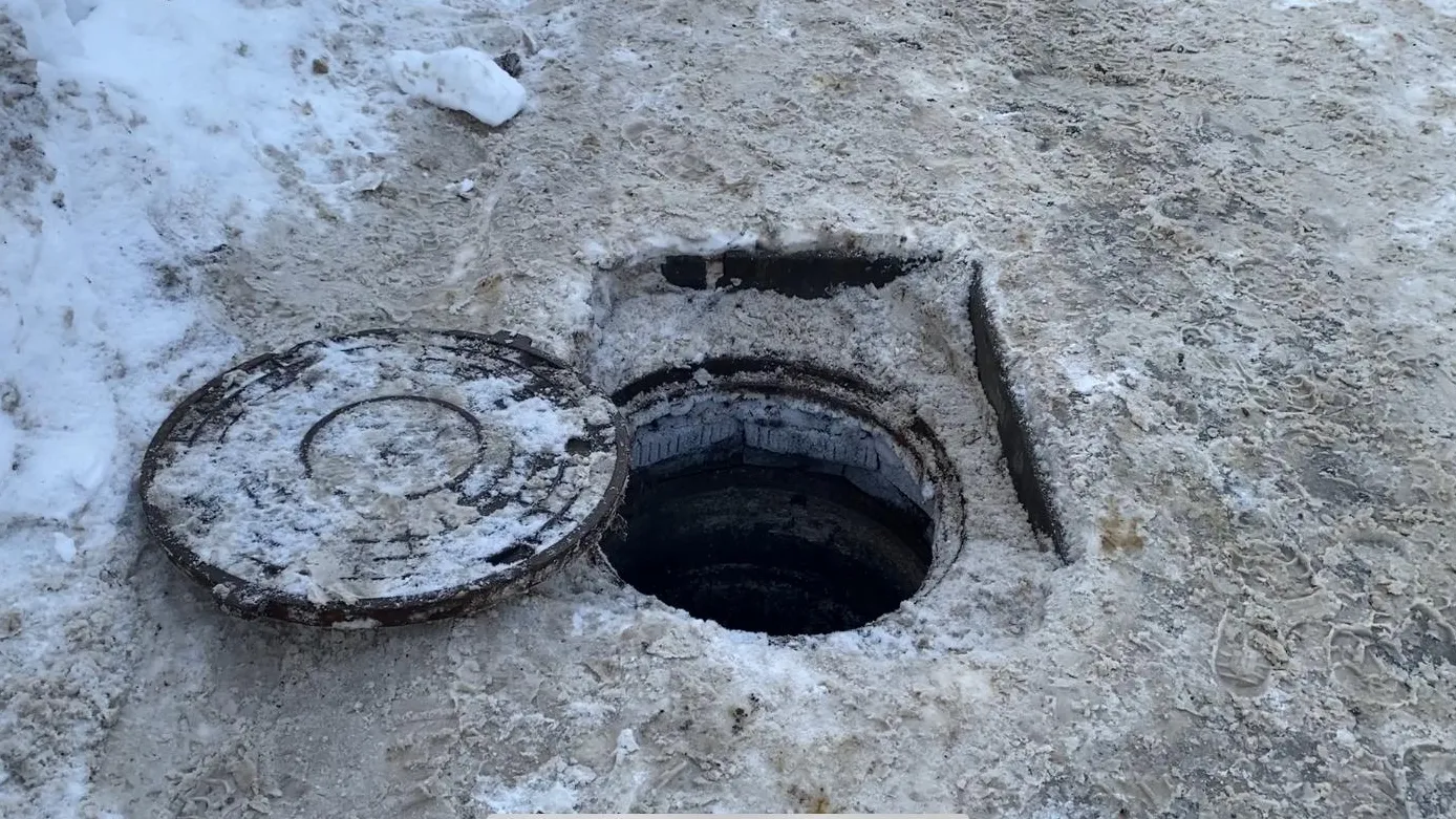 Анна Артюшина