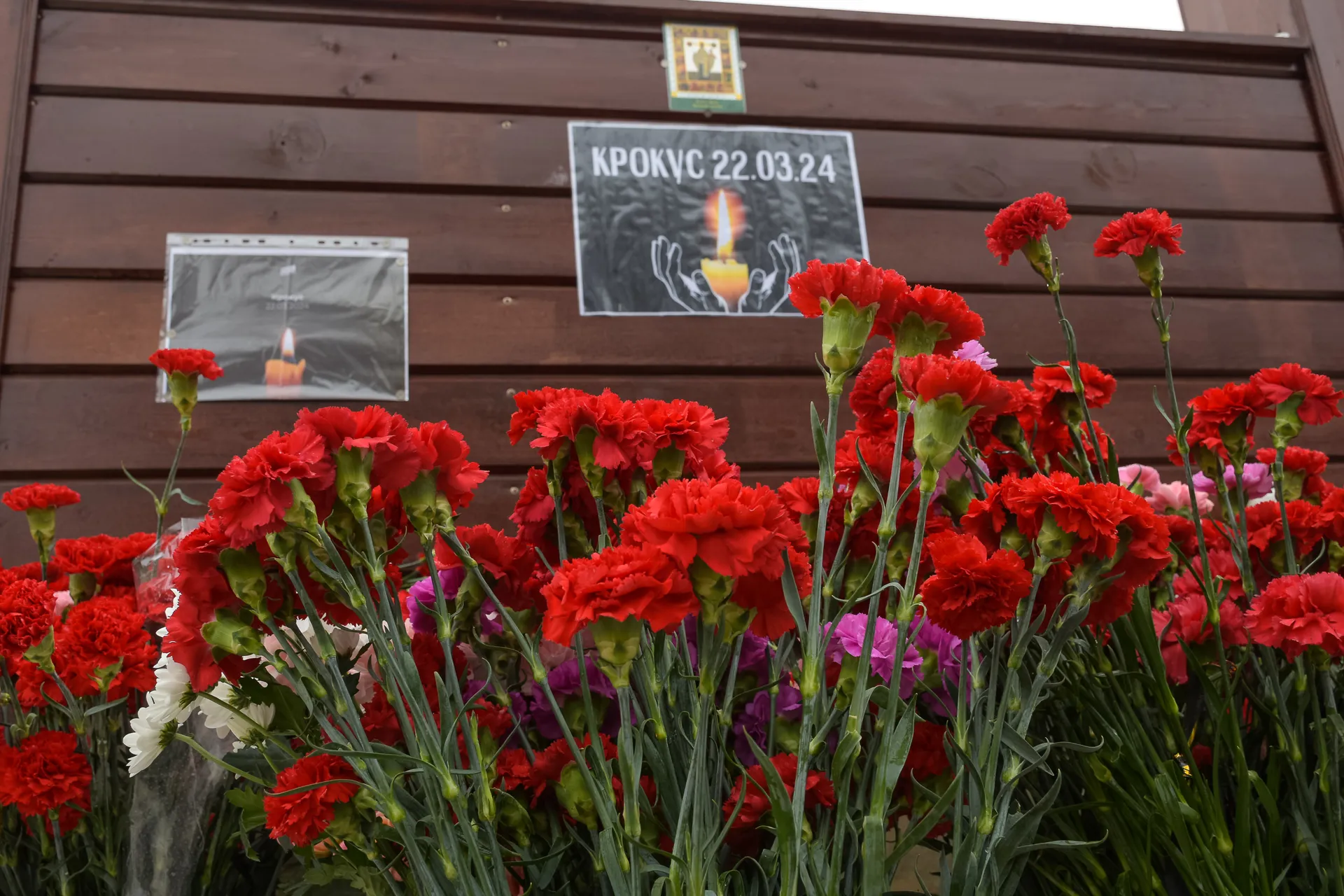 Фото: Евгений Мазепов