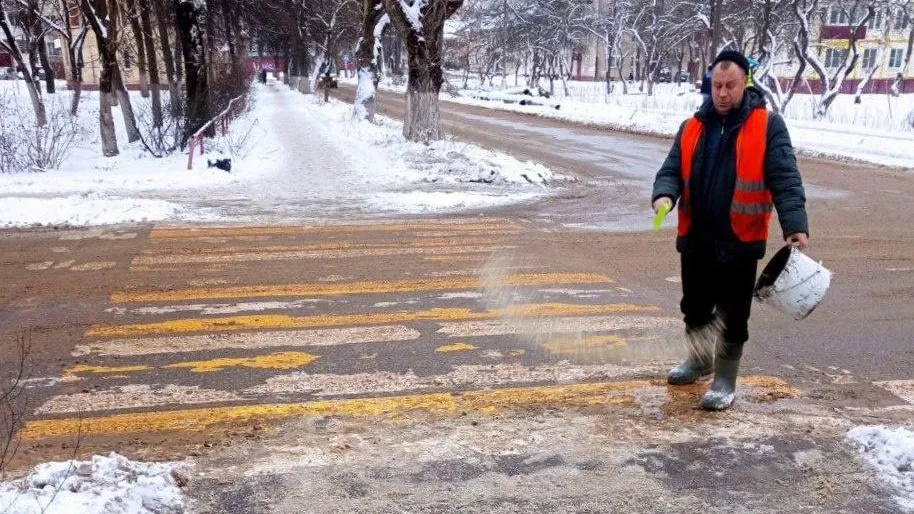Фото: МБУ «Благоустройство и озеленение»