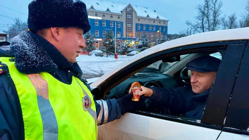 Фото: t.me/gibdd50mo