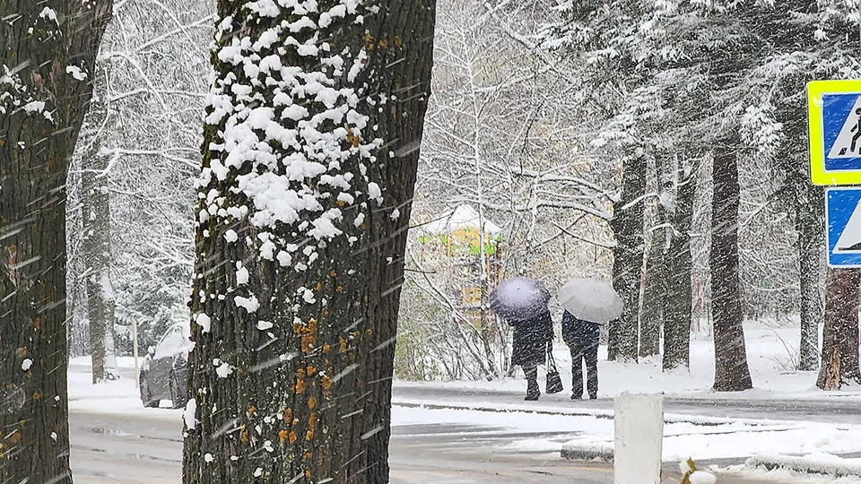 Фото: МедиаБанк Подмосковья/Арина Кузнецова