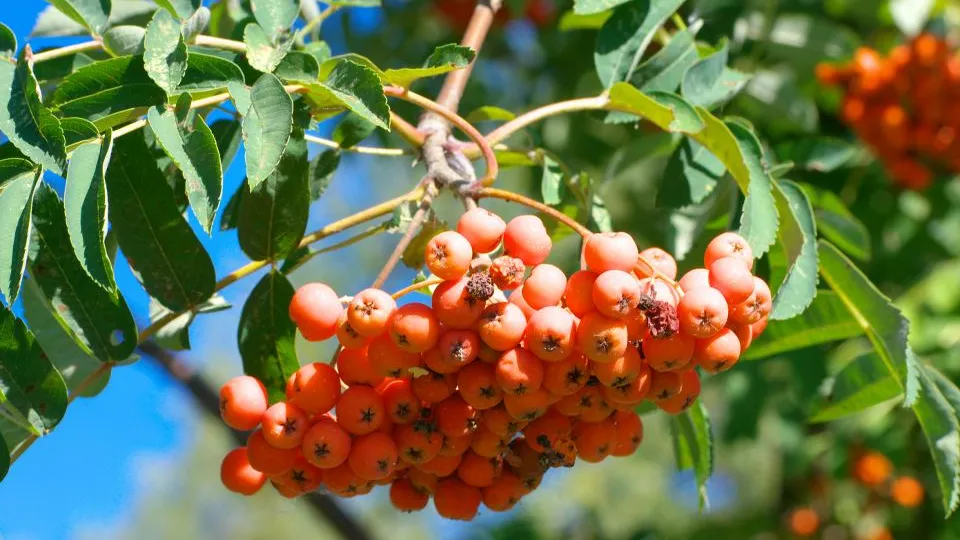 Фото: istockphoto.com/ru3apr