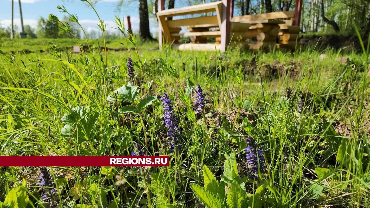 Фото: Иван Дубров