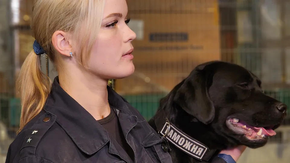 Фото: МедиаБанк Подмосковья/Максим Сафронов