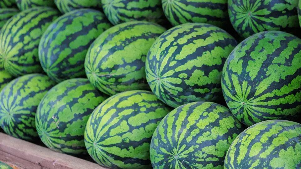 Фото: istockphoto.com