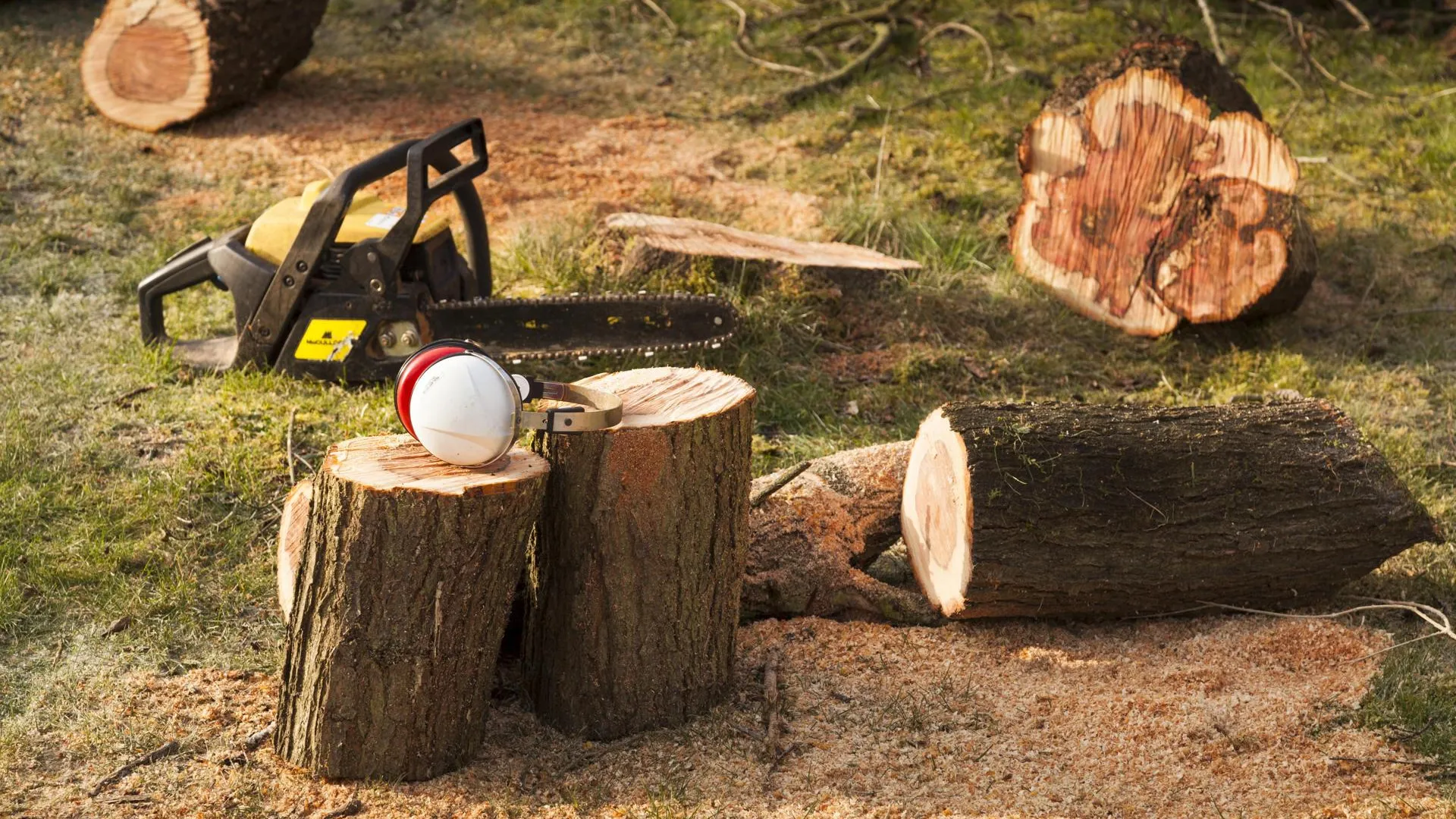 Peter Noyce/imageBROKER.com