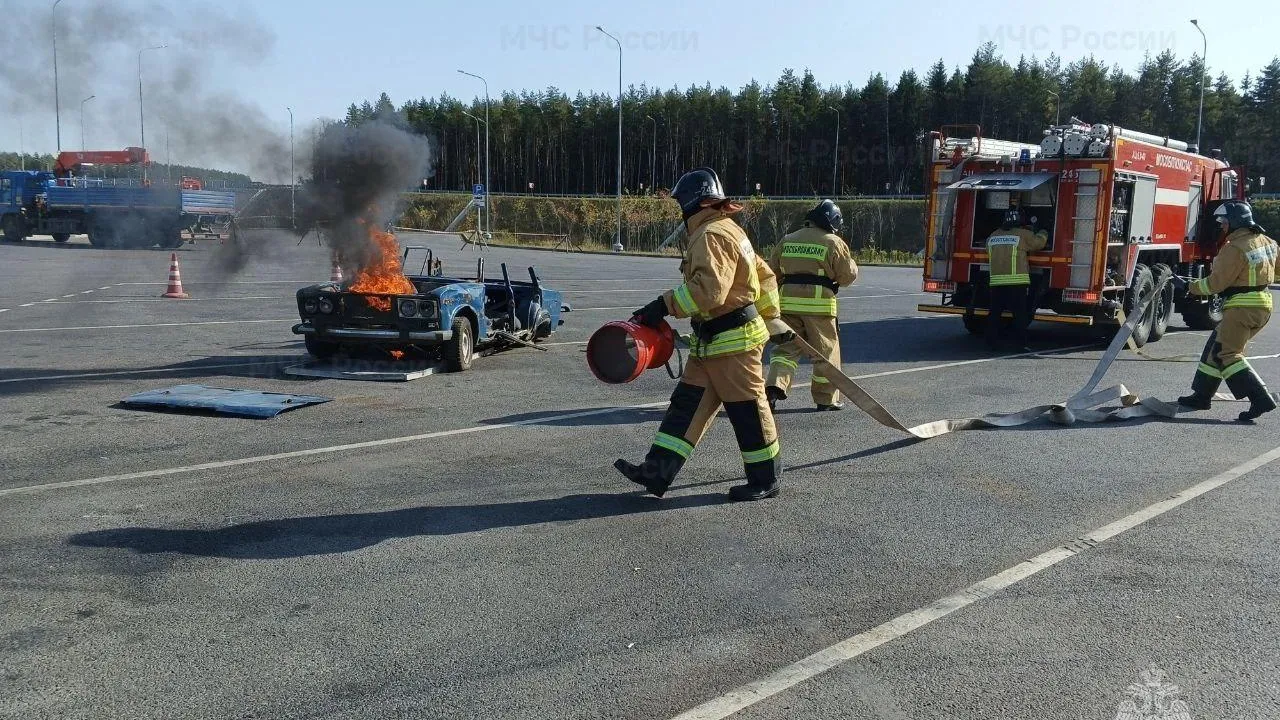 фото: Telegram-канал"КраснознаменскLIVE новости"