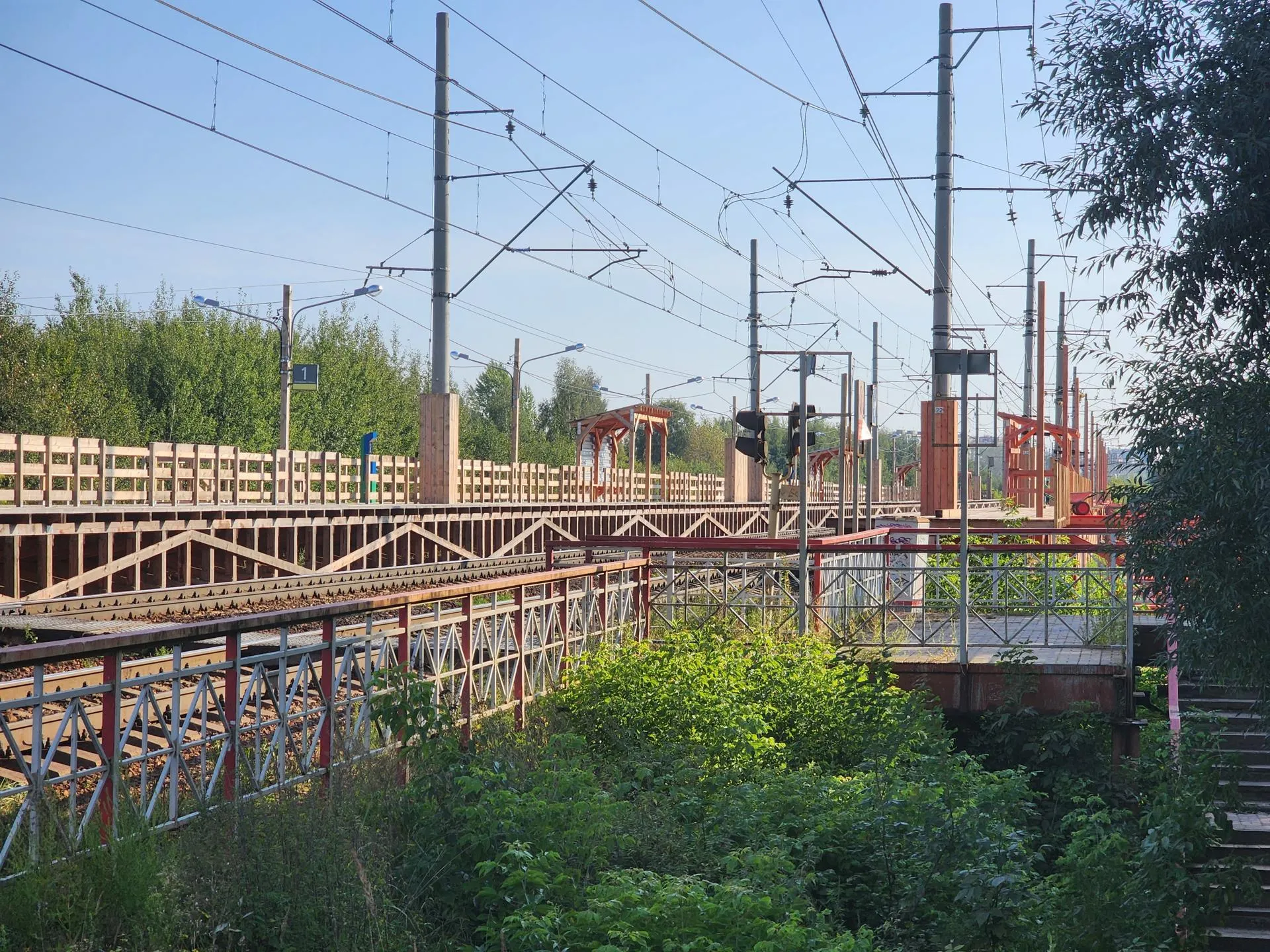 Источник: Алена Притула