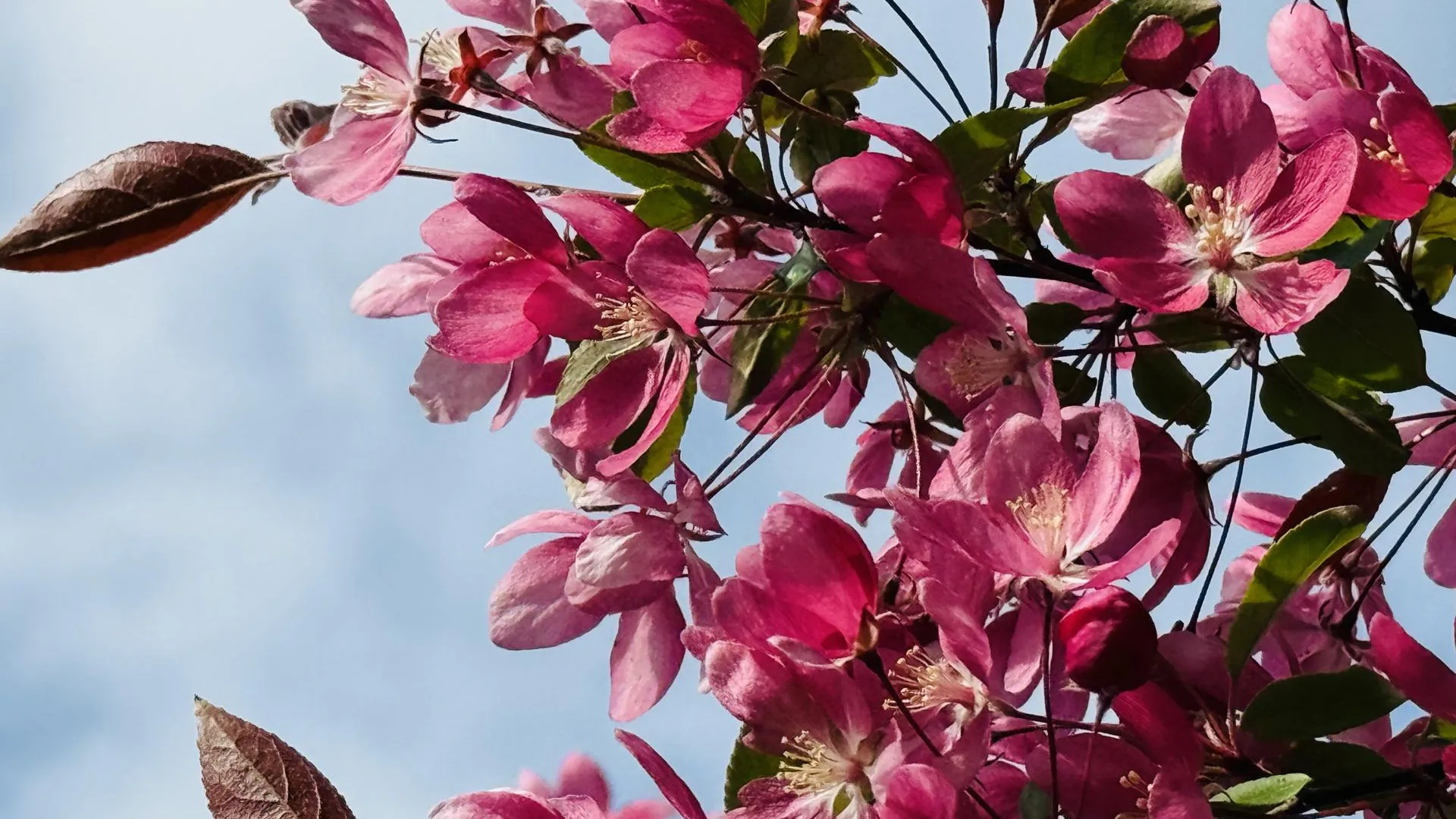 МедиаБанк Подмосковья/Ольга Стаферова