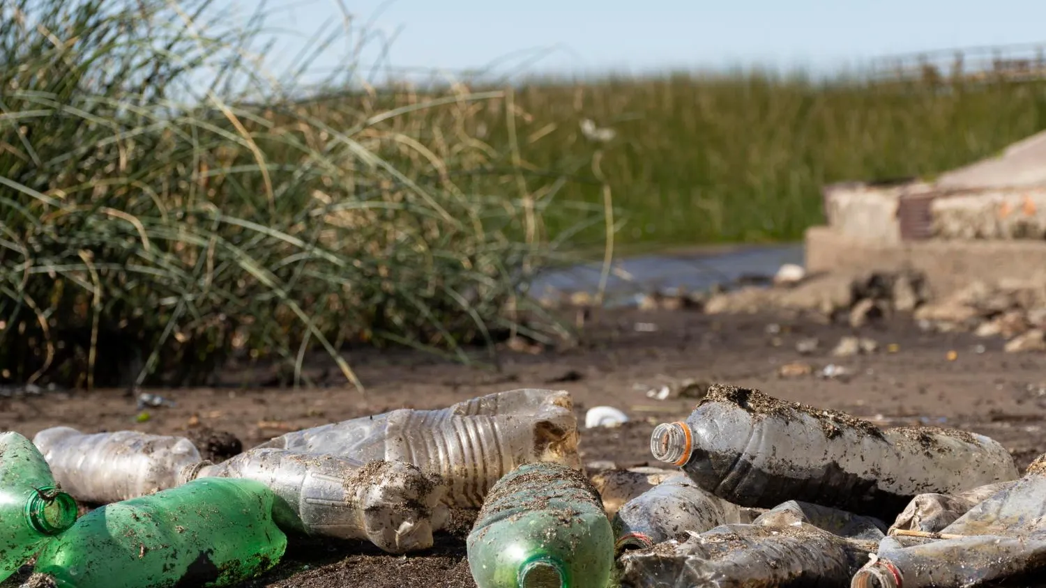 медиасток.рф