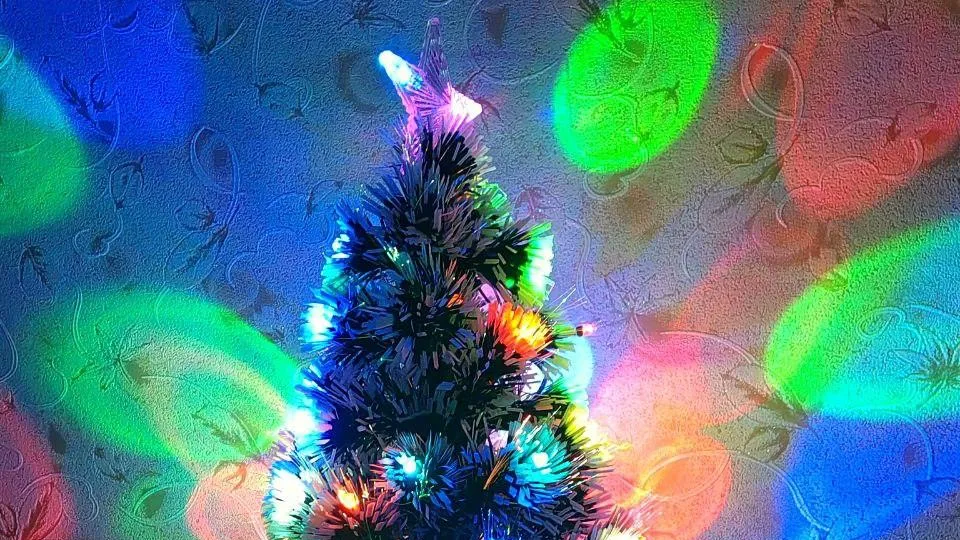 Фото: Евгений Мазепов