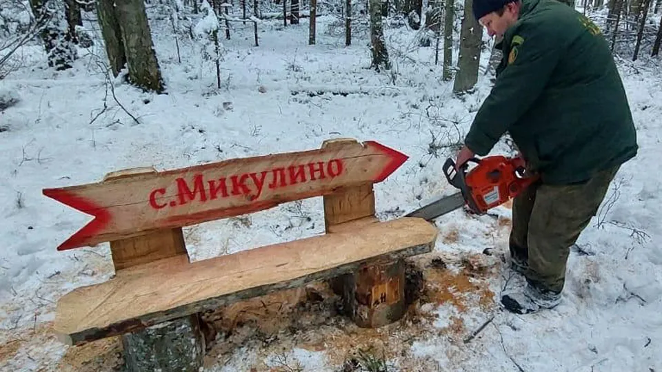 Фото: Комитет лесного хозяйства Московской области