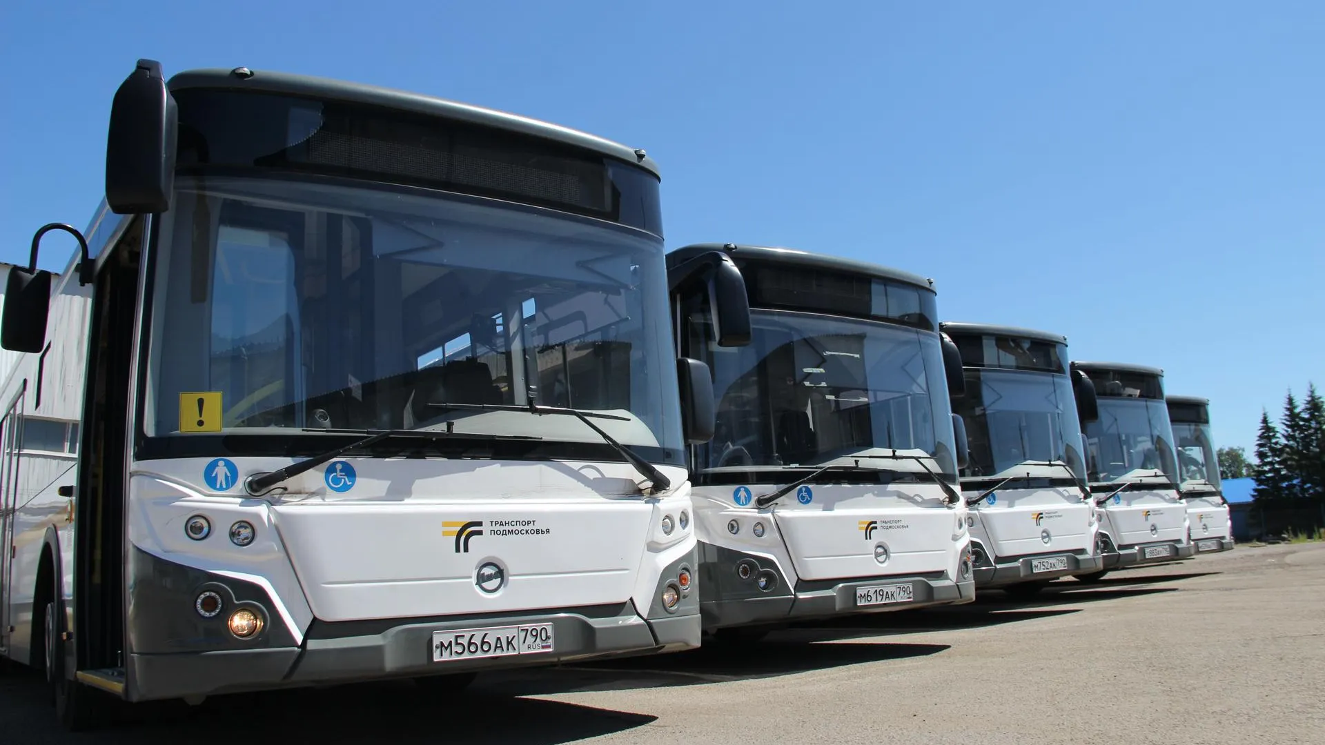 Фото: Василий Тремасов