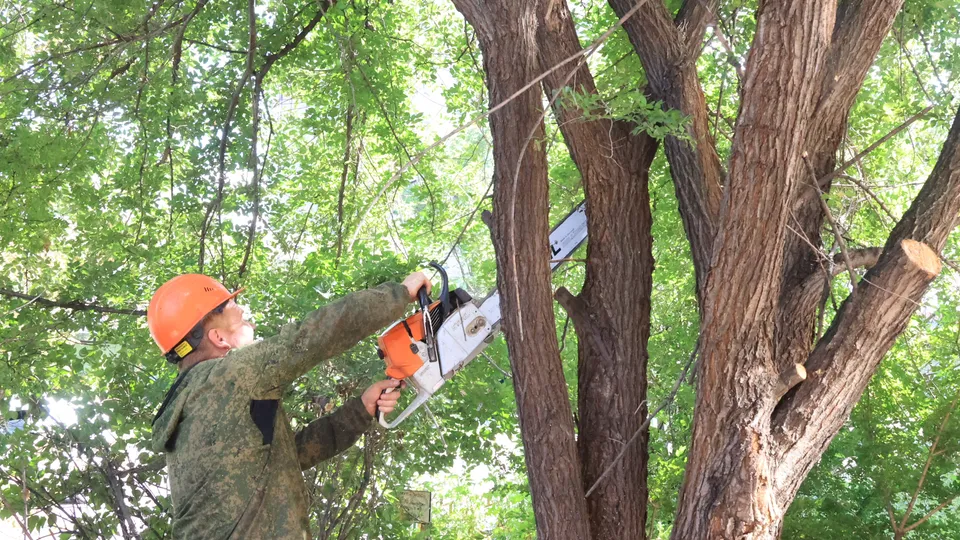 Фото: Алексей Грызлов