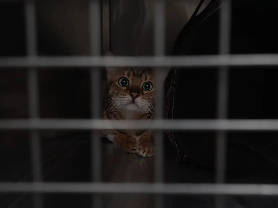 Фото: Наталия Надточая&nbsp;