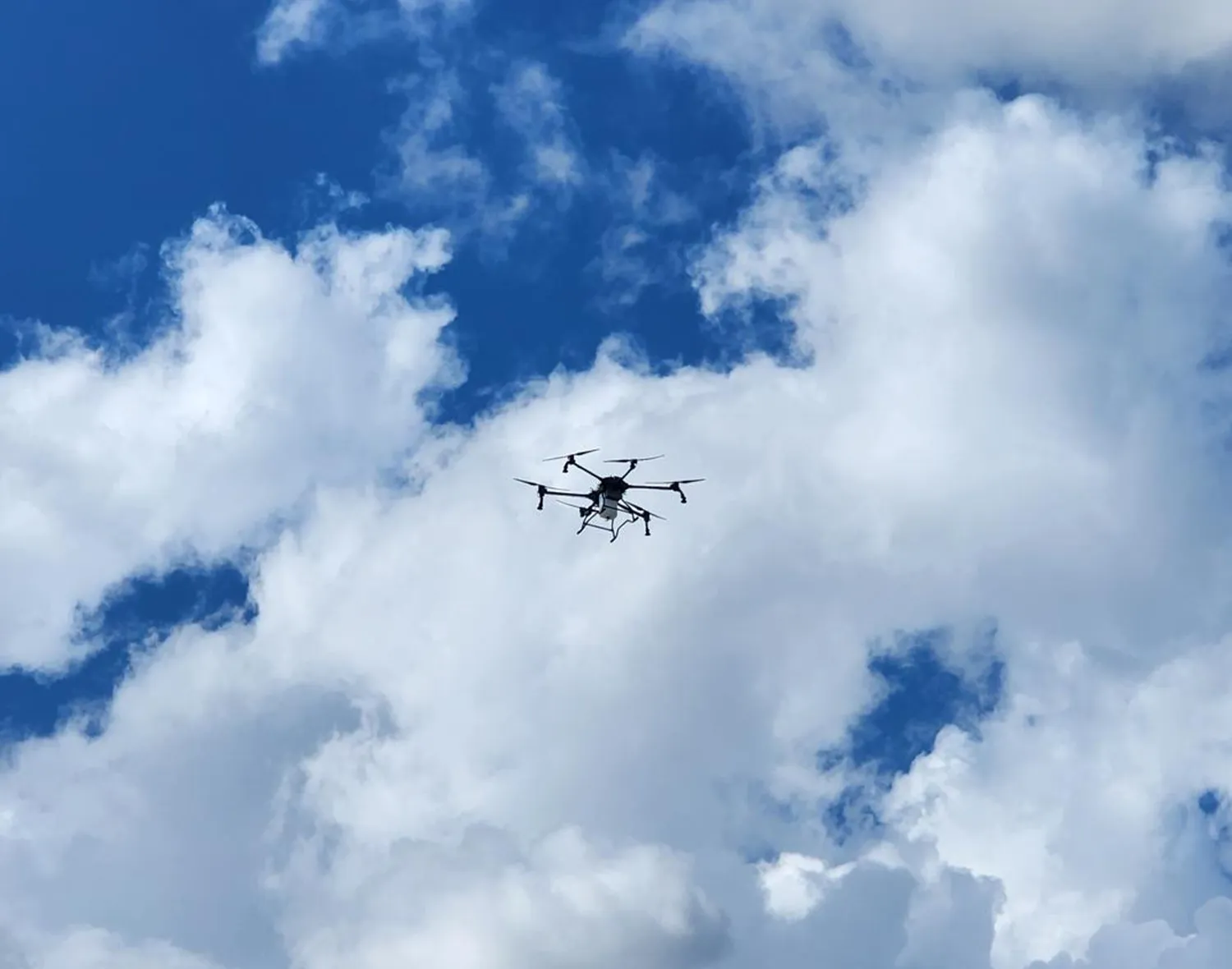 Фото: Станислав Орлов