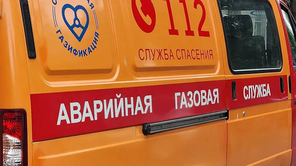 Фото: МедиаБанк Подмосковья/Валерий Гореловский