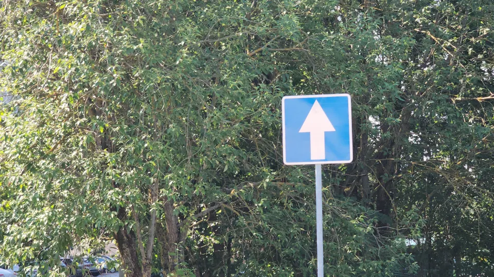 Фото: МедиаБанк Подмосковья/Екатерина Данилина