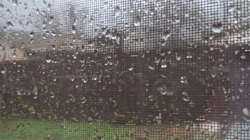 Фото: REGIONS/Юлия Габбасова