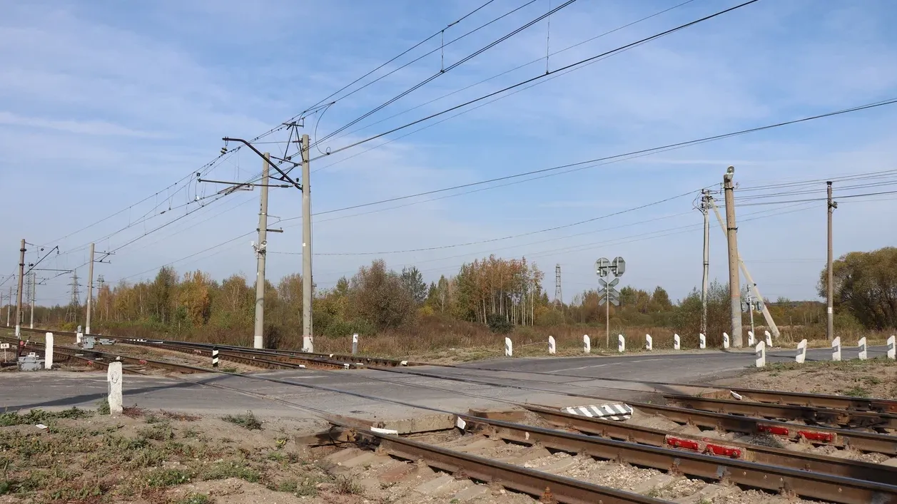 Фото:Василий Тремасов