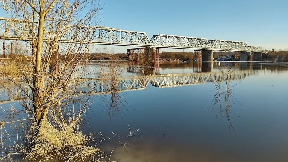 Фото: REGIONS/Алексей Селиверстов