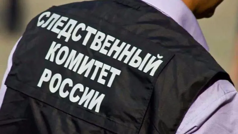 Инцидент с упавшим на пенсионерку деревом в Луховицах проверят следователи