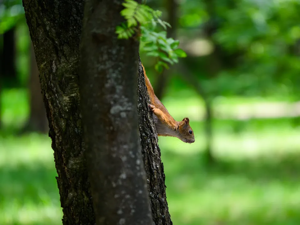Фото: медиасток.рф