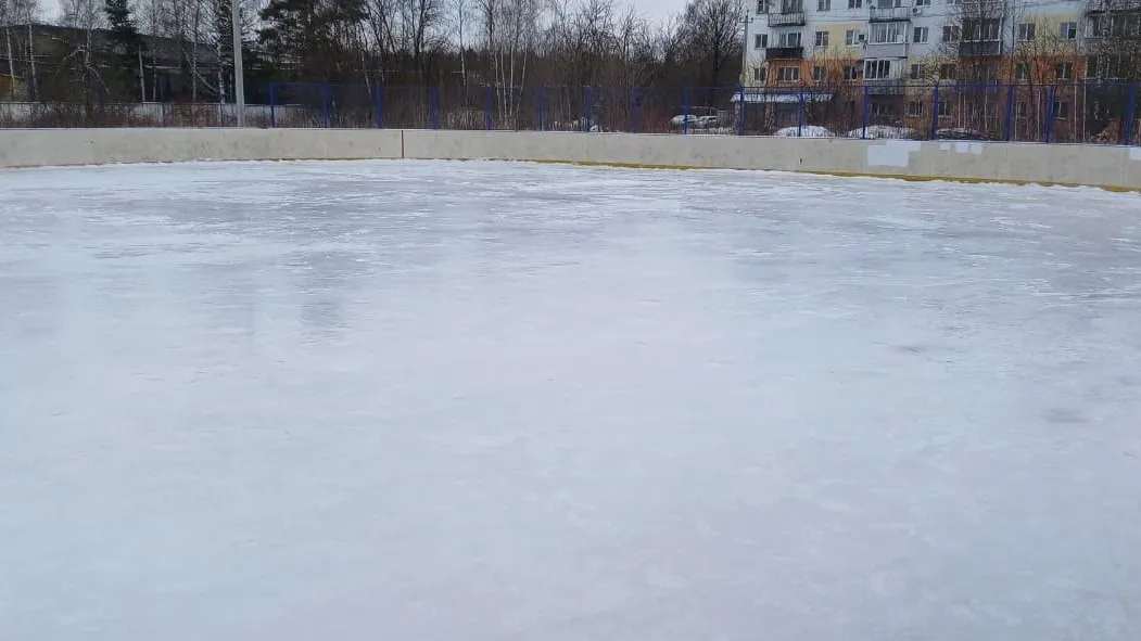 пресс-служба администрации Богородского городского округа