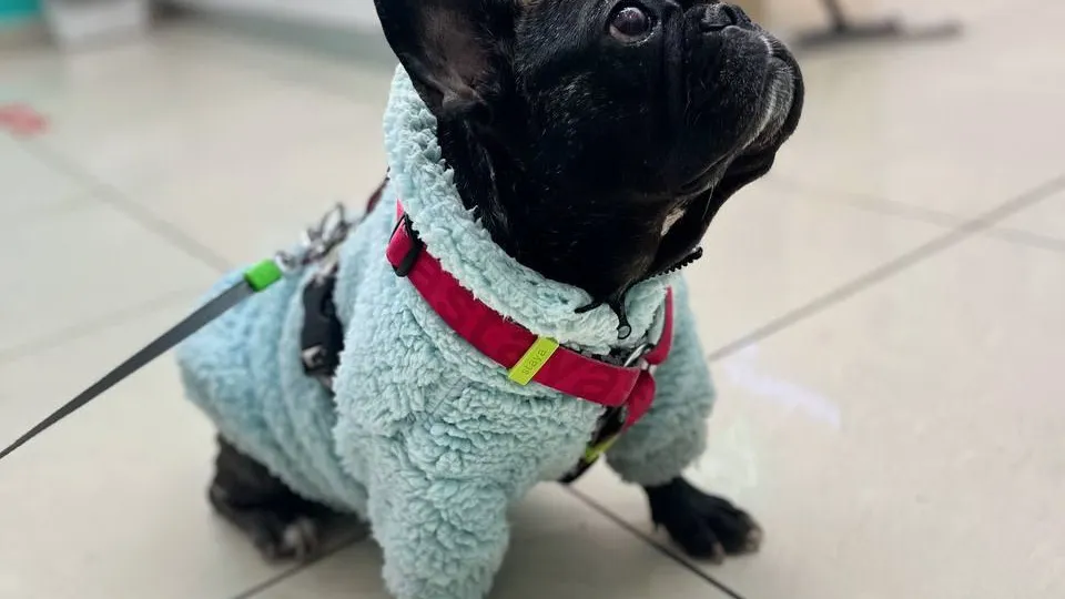 Фото: личный архив Юлии Бросалиной