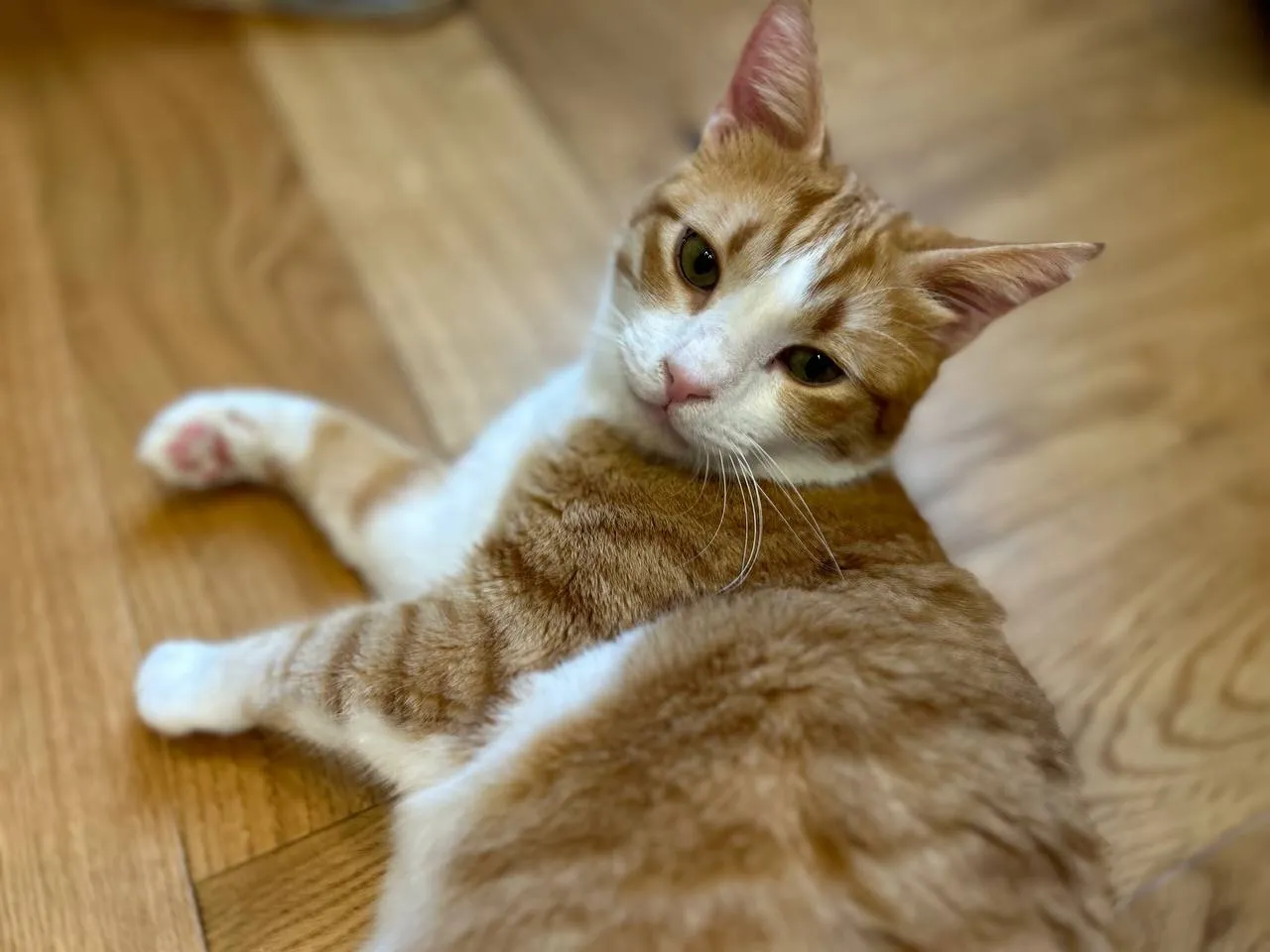 Фото: из архива семьи