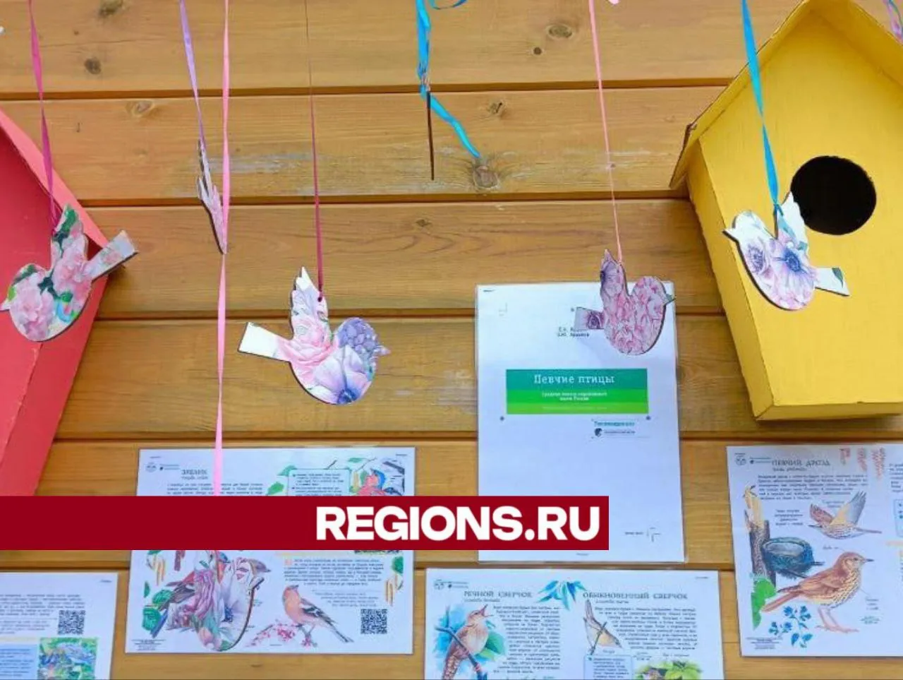 Фото: Евгений Рой
