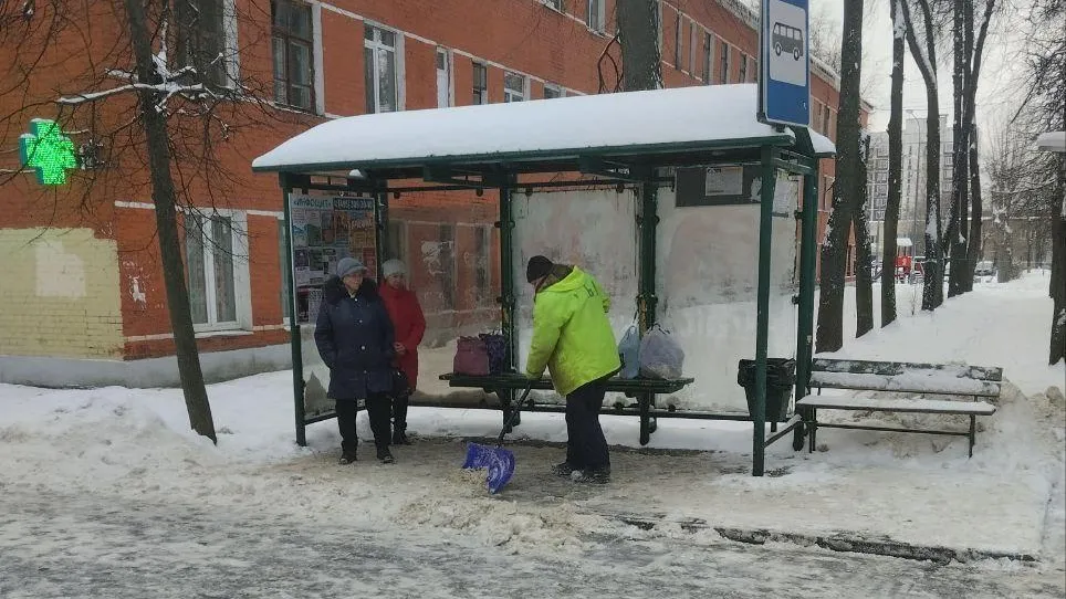 Фото: Светлана Полянина