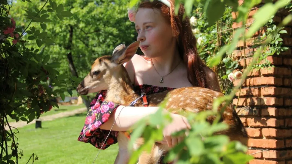 Фото: Министерство социального развития Московской области