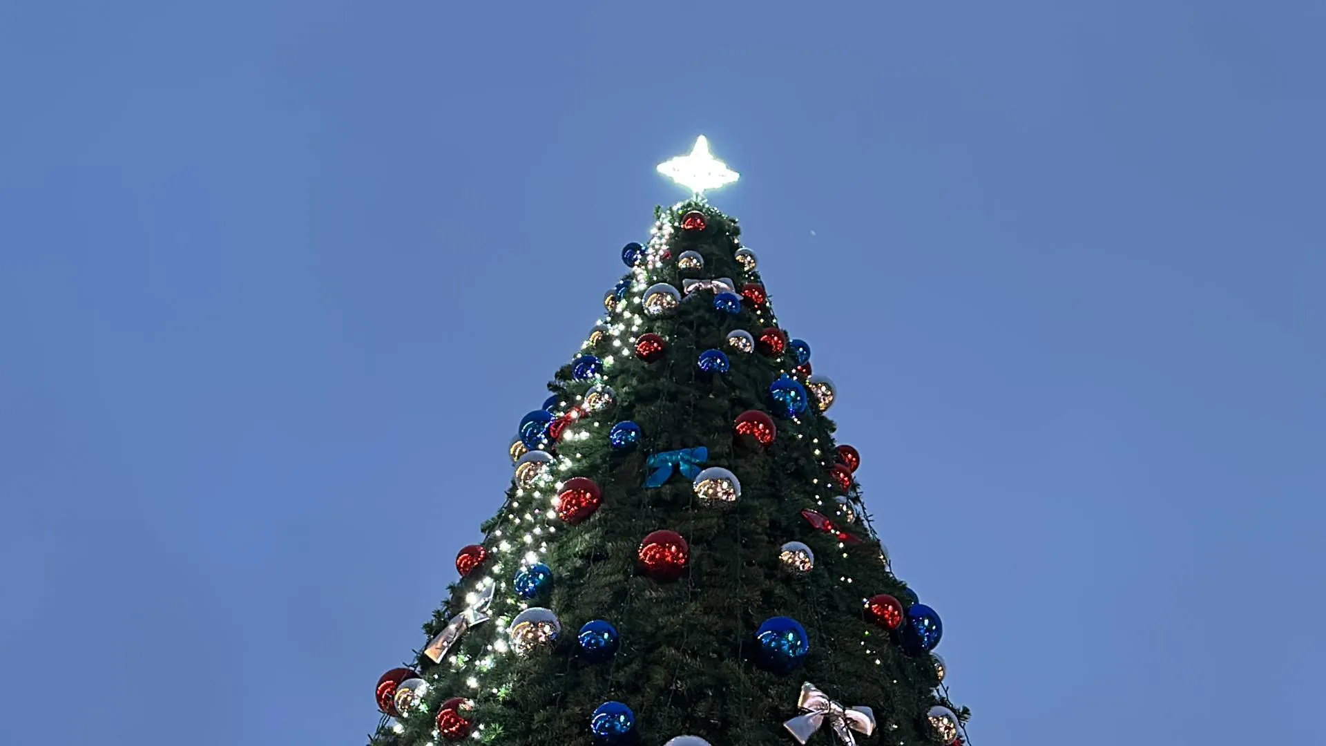 Фото: Мария Шматкова