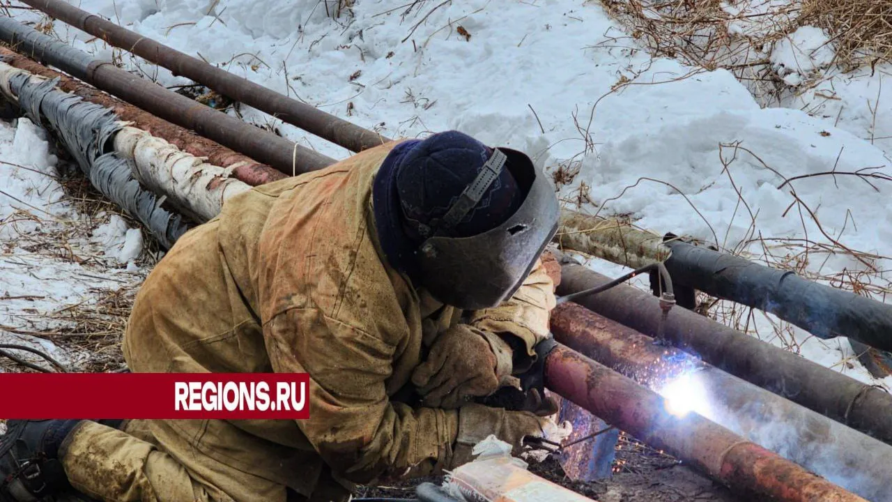 Фото: Светлана Плотникова