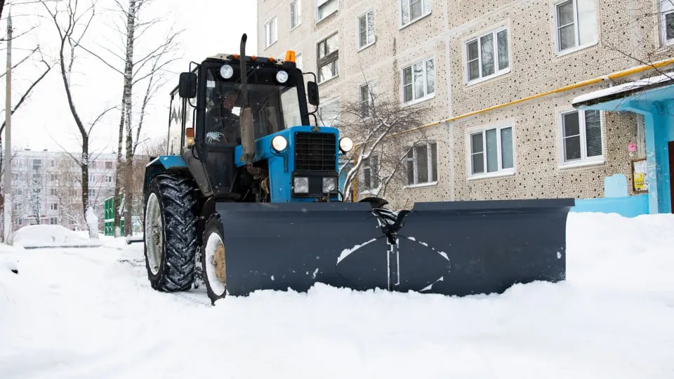Фото: пресс-служба администрации г.о. Дмитров