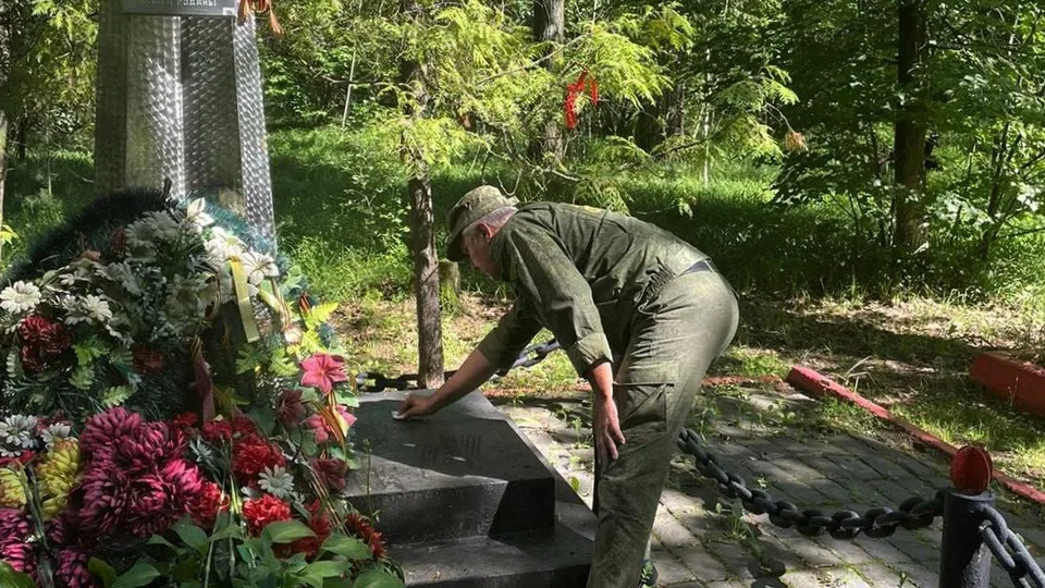 Фото: Комитет лесного хозяйства Московской области