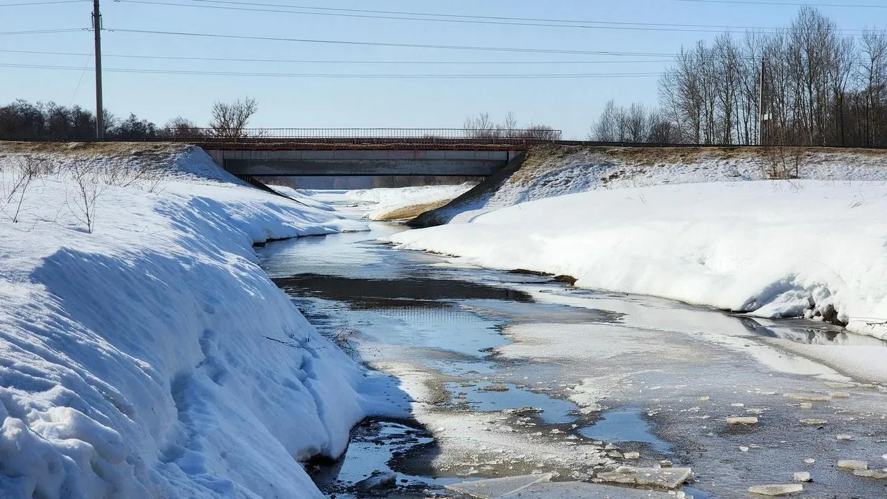 МедиаБанк Подмосковья/Анна Шолохова