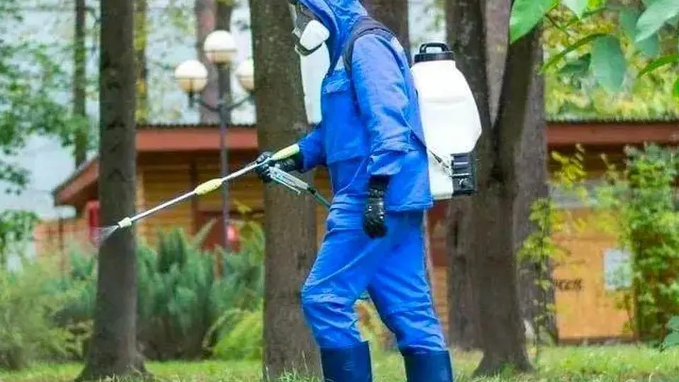 Фото: пресс-служба Министерства благоустройства Московской области