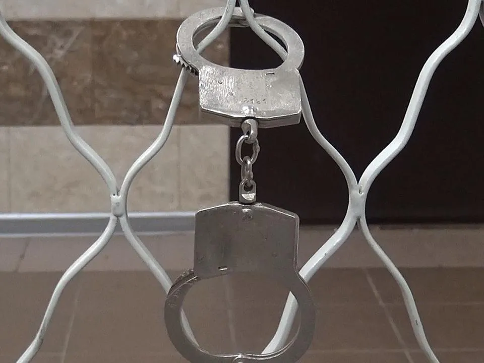 Фото: пресс-служба УМВД России по Дмитровскому городскому округу