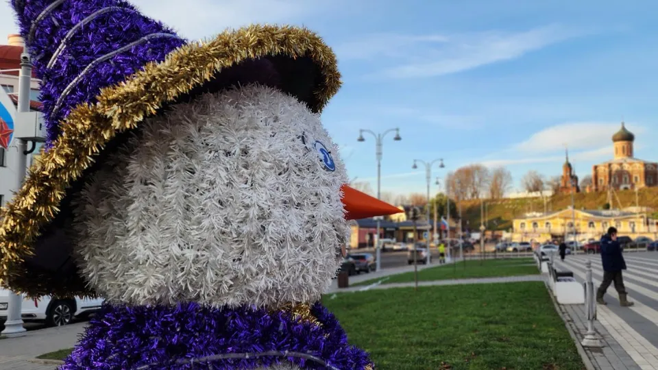 Фото: МедиаБанк Подмосковья/Дмитрий Беденко