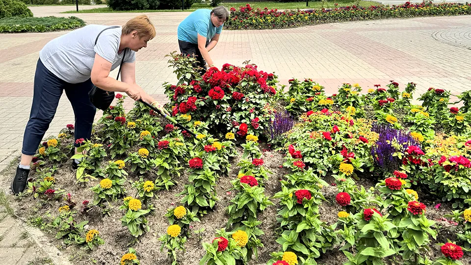 Фото: МедиаБанк Подмосковья/Татьяна Рунова