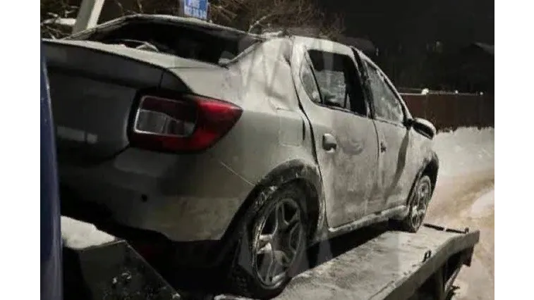 Фото: телеграм-канал «Московская область 24»