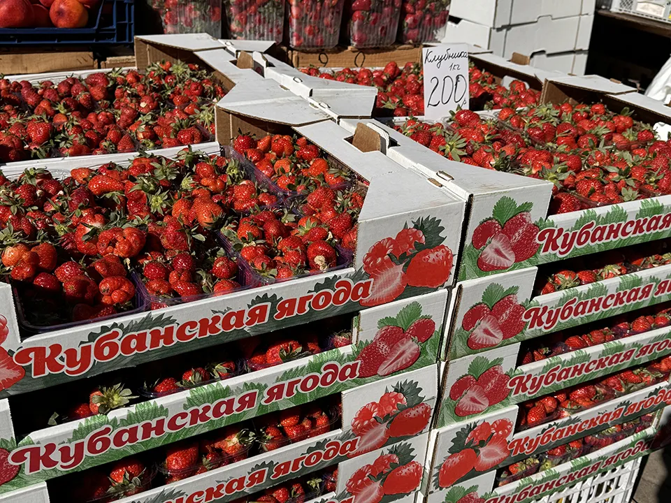 Фото: REGIONS/Мария Шматкова