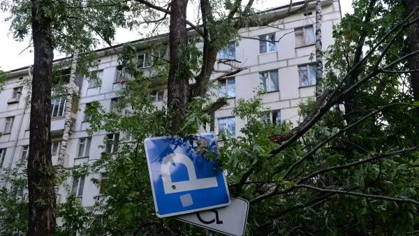 Синоптики разрабатывают систему, которая будет следить за погодой
