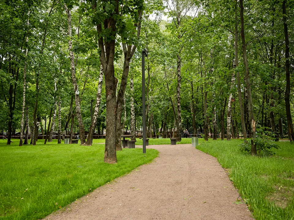 Наташинский парк. Фото: пресс-служба губернатора и правительства Московской области