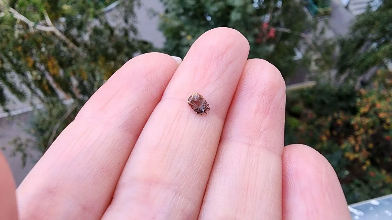 Пресс-служба ГБУЗ МО "ПОКБ"