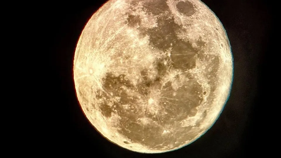 Фото: пресс-служба администрации Можайского городского округа