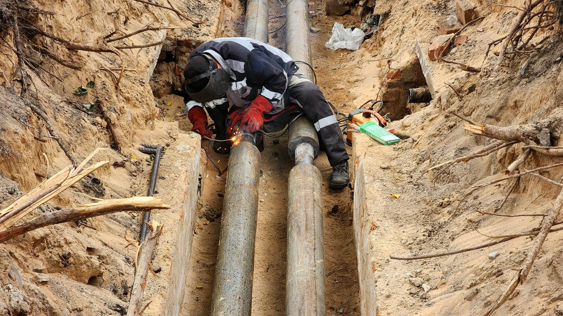 Фото: Полина Пахомова